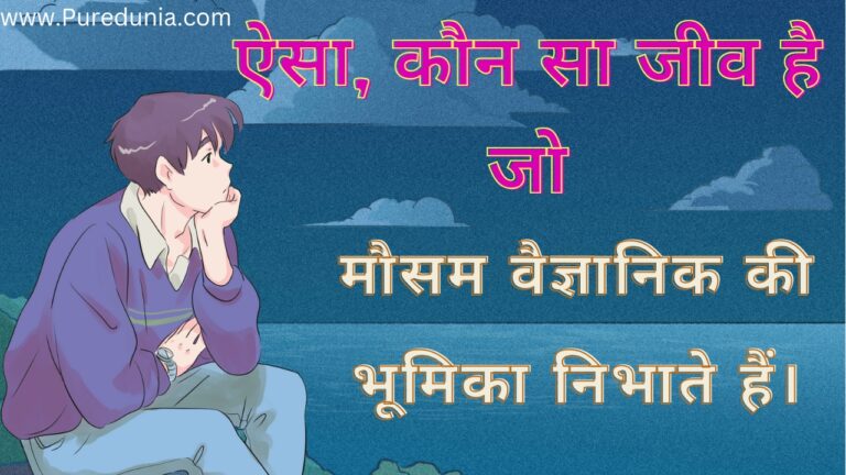 मौसम वैज्ञानिक की भूमिका निभाते हैं। ये जीव